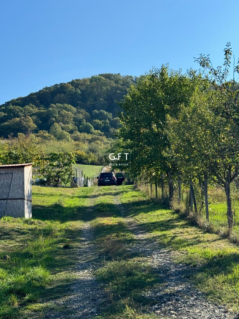 Teren de vanzare, Valea Ghinzii, parcele de 5-6 ari - Poză 9