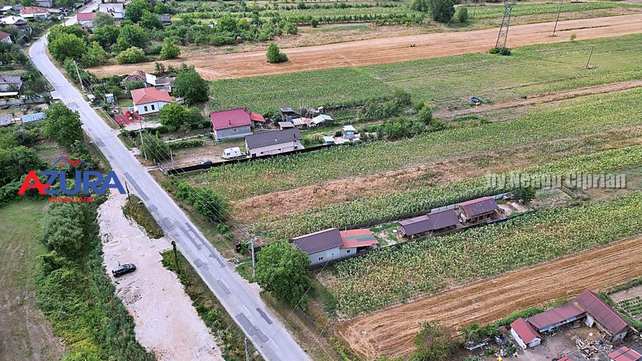 AZURA Imobiliare - Teren Budeasa Galasesti Calotesti - Poză 14