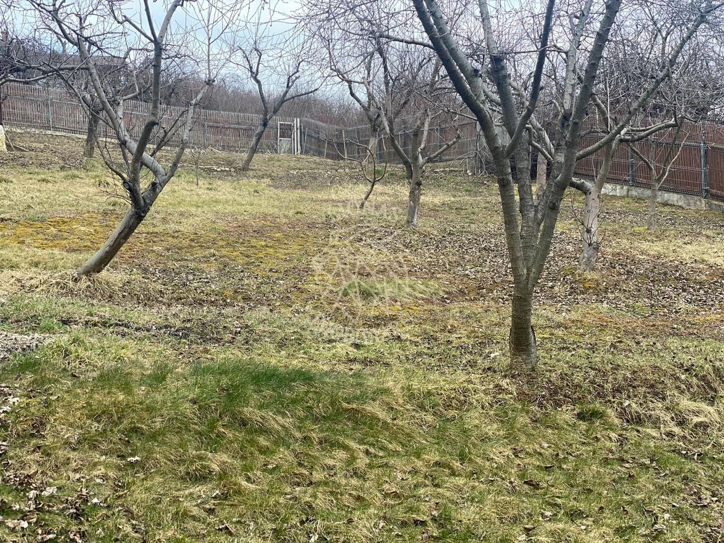 Teren intravilan 1000 mp+magazie-ideal casa-imprejmuit-Valea Rusului - Poză 2