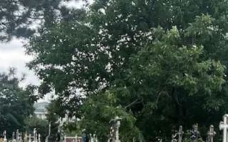 # vand loc de veci Sf treime pacurari loc bine poziționat. - Poză 1