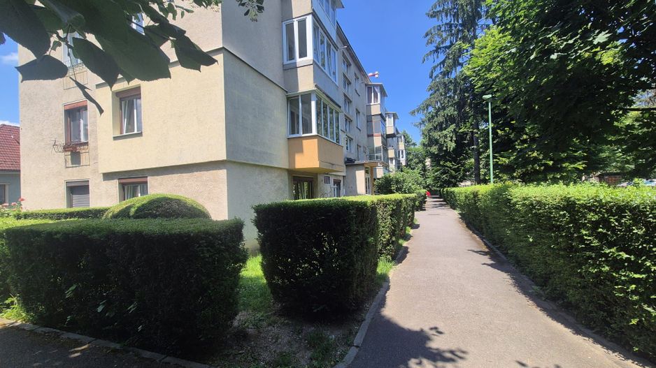 Centru Civic, apartament pet friendly - Poză 3