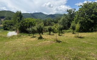 Teren Intravilan 650 mp de Vanzare in Tocile - Poză 4