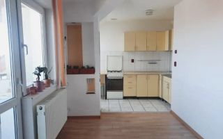Apartament 2 camere  Elisabetin - Poză 3