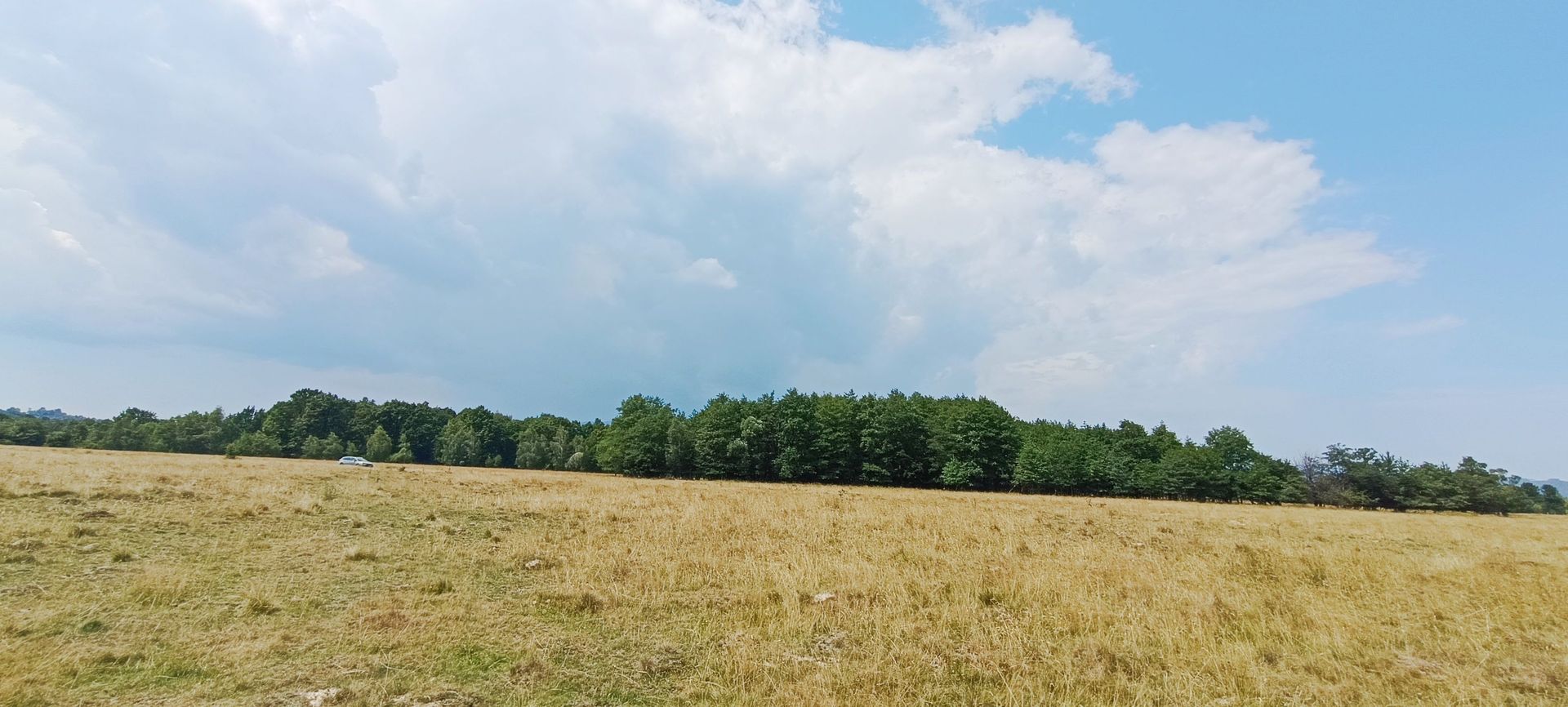 Teren in Rasnov,Glejerie-Via Transilvanica - Poză 7