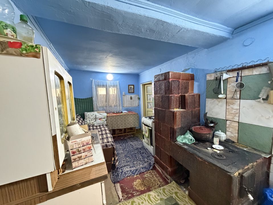 Casa Batraneasca la 8 km de Topoloveni - Poză 7