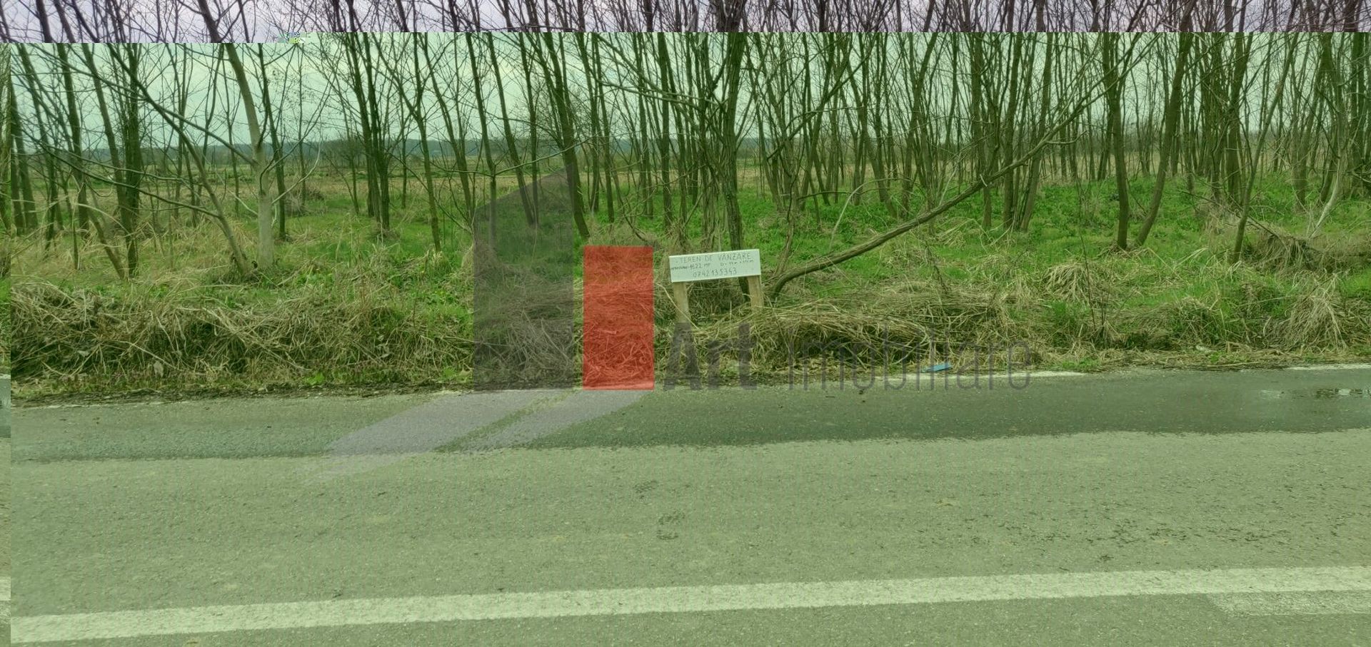Vânzare teren Ogrezeni județul Giurgiu - Poză 3