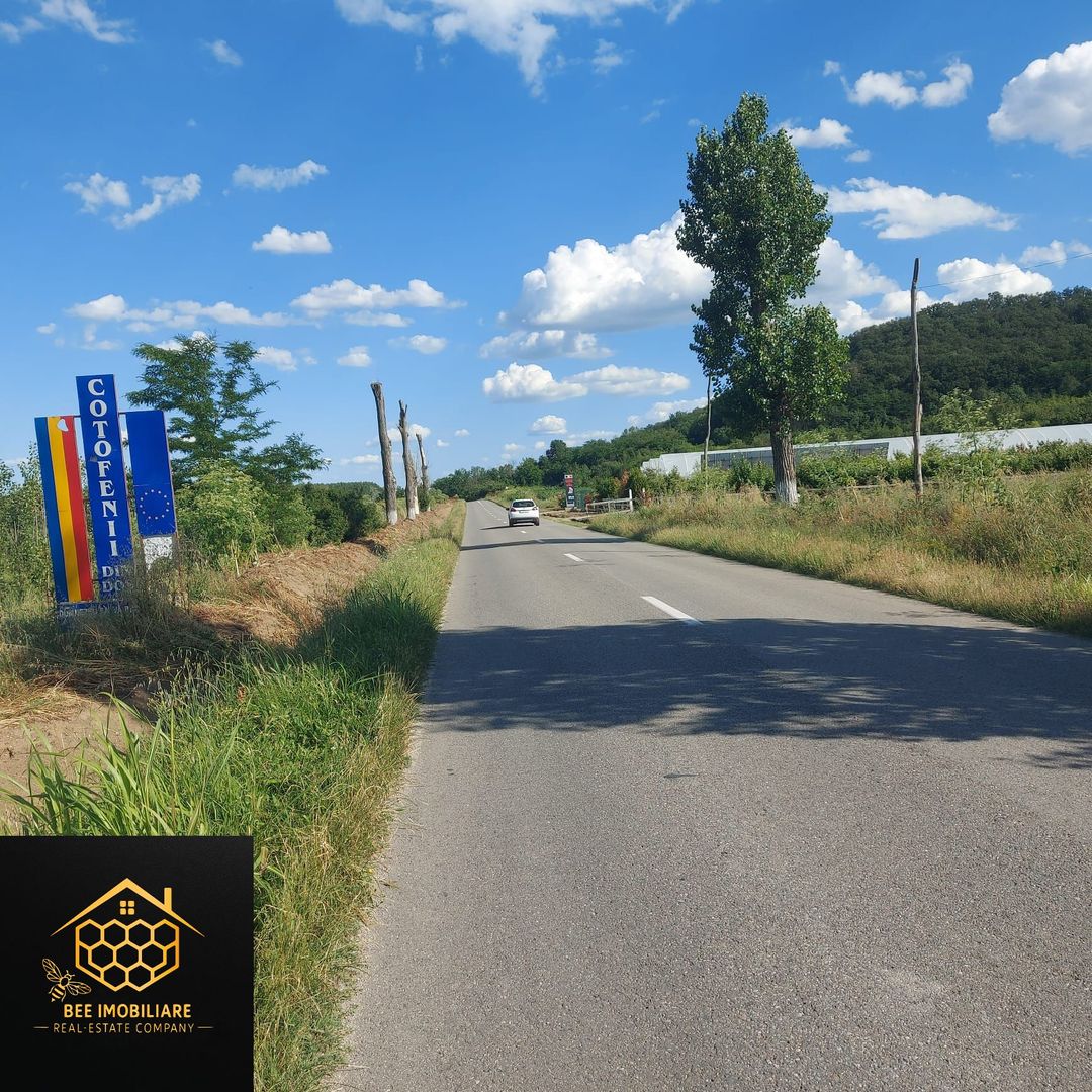 2 parcele teren intravilan, 1200 mp - Mihaita - Cotofenii din Dos - Poză 6