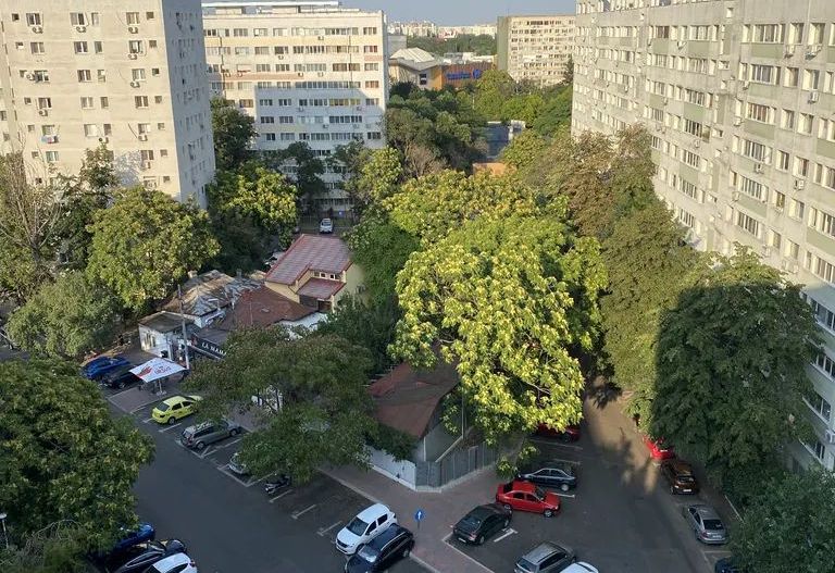 Apartament 2 camere Dristor / Park Lake / Stradal - Poză 4