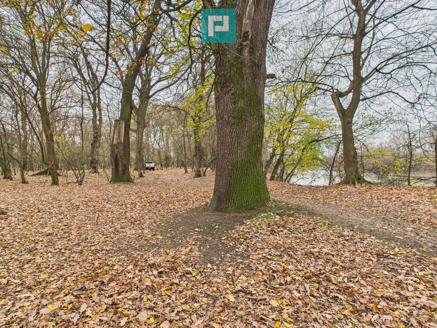 Teren pe malul Muresului- oportunitati multiple - Poză 22