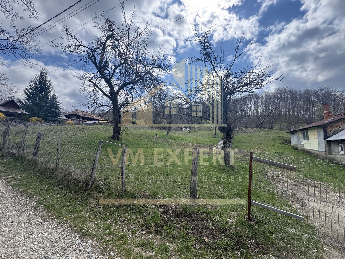 TEREN INTRAVILAN 4365 MP POENARII DE MUȘCEL  JUDEȚUL ARGES - Poză 18