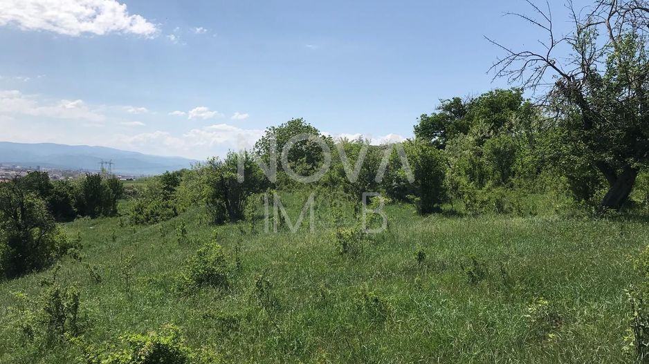 Teren extravilan - 8000 mp, Gusterita - Poză 4
