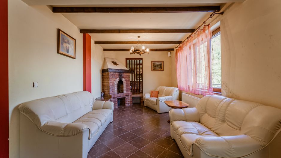 Domeniu în satul Căprioara - Poză 79