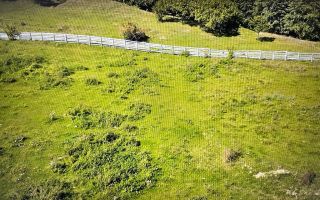 O proprietate de exceptie la Corbi, 18 ha, izvor, lac, pastravarie - Poză 9