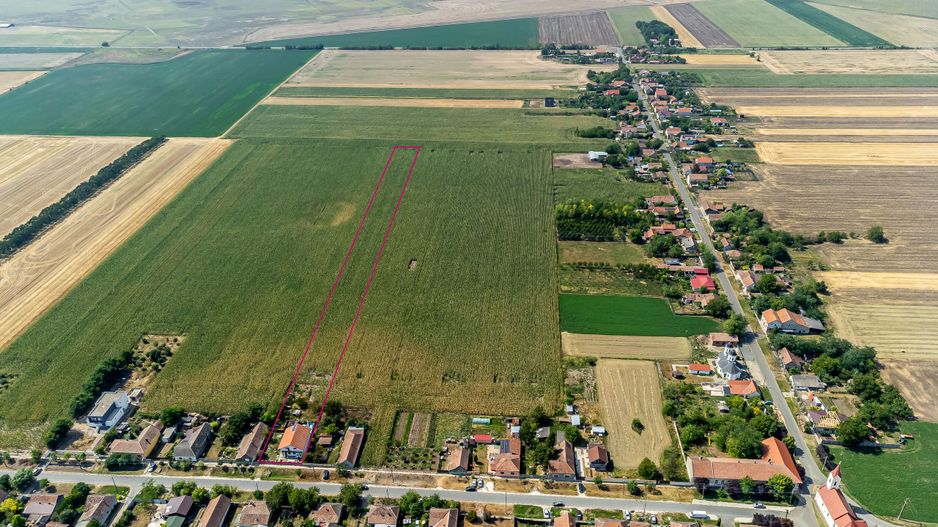 Casă Variasu Mare Jud. Arad cu teren 16883 mp - Poză 7