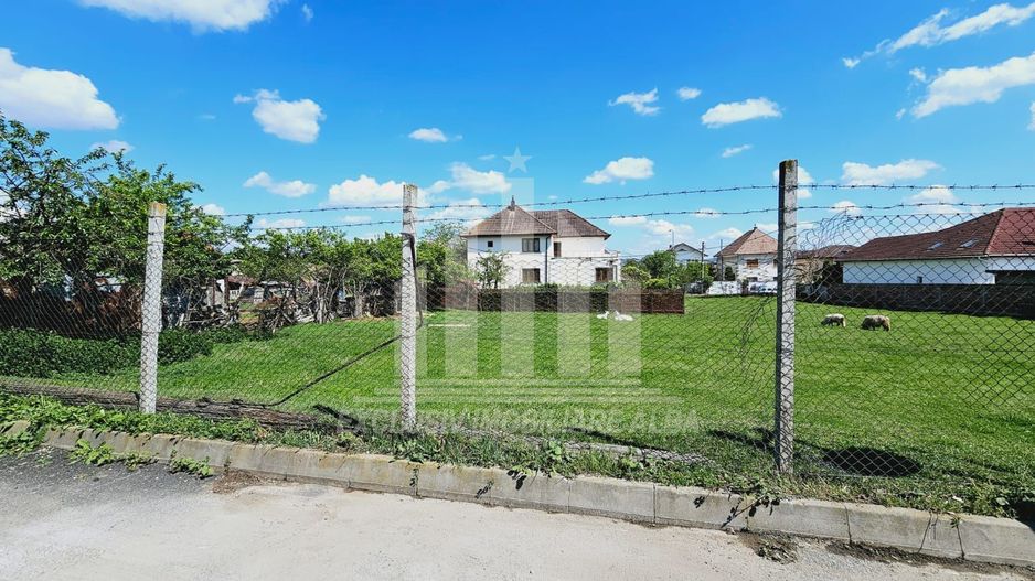 Teren intravilan de vanzare, Cetate - Poză 3