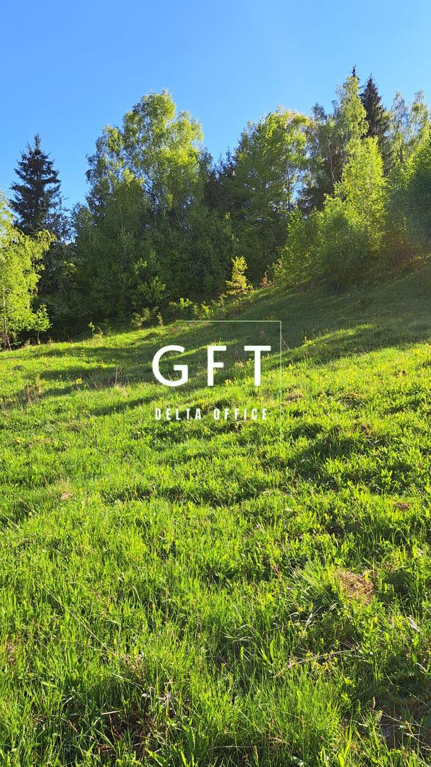 Teren extravilan de vanzare, Bistrita Bargaului- 10 minute de Colibita - Poză 6