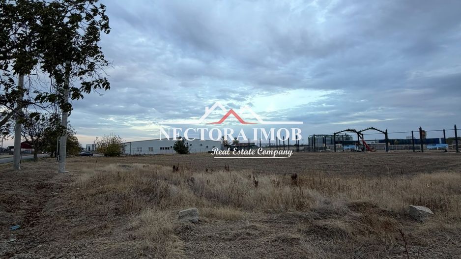NECTORA IMOB-Teren Intravilan Industrial la sosea,2x2000 mp, Utilitati - Poză 5
