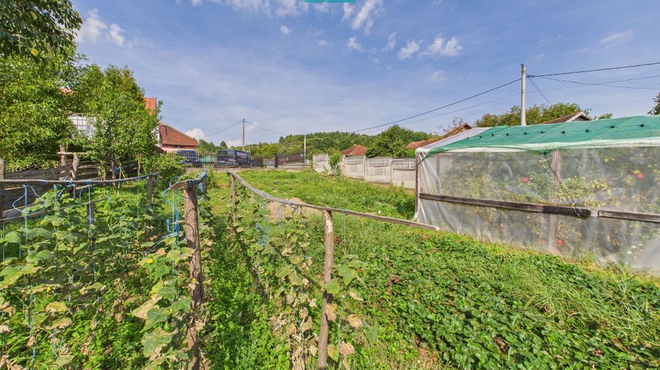 Casă și centru comercial, în localitatea Lazuri - Poză 11