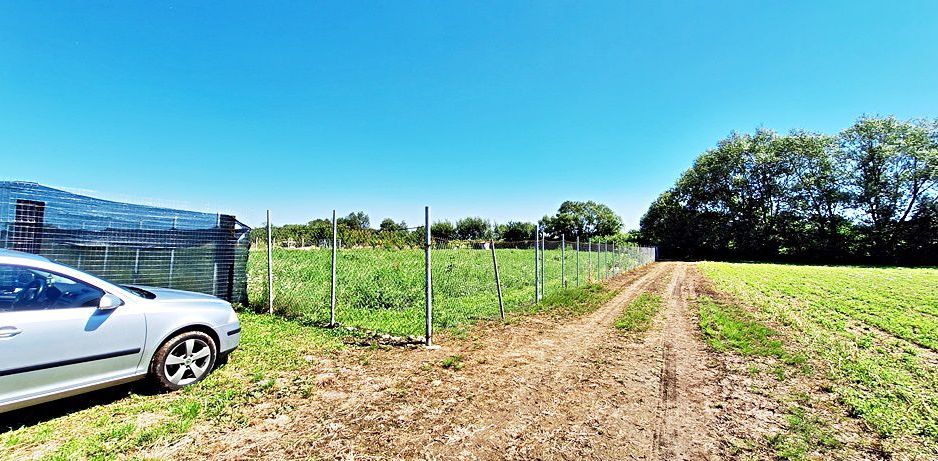 Sacele, teren intravilan 1386 mp, parau, priveliste superba, 45 euro/mp - Poză 6