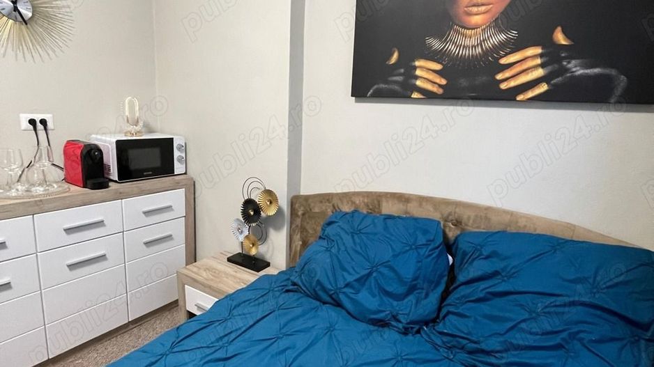 Apart Hotel Zona Piata Romana - Poză 6