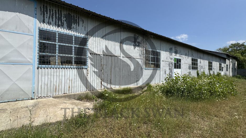 Hala de vanzare | 1.100mp I Boldesti-Scaieni - Randament anual 10% - Poză 6