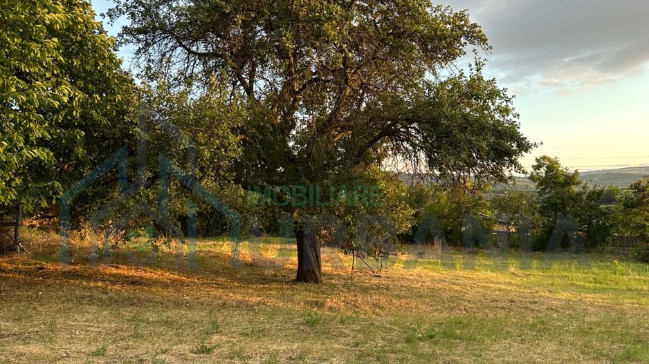 Teren Intravilan de Vânzare în Picioru Lupului - Poză 1