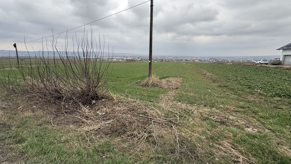 Teren intravilan | Grănicesti | 32 ARI - Poză 1