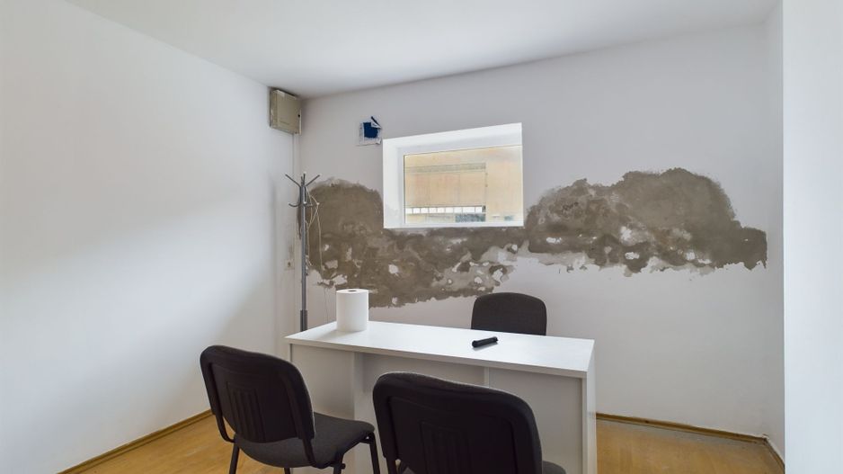 Spații depozitare/producție Moșnița Nouă - Poză 10