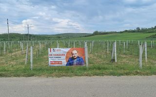 Teren intravilan cu PLANTATIE DE GOJII de vanzare in Racari - Poză 27