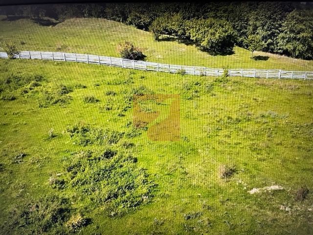 O proprietate de exceptie la Corbi, 18 ha, izvor, lac, pastravarie - Poză 9