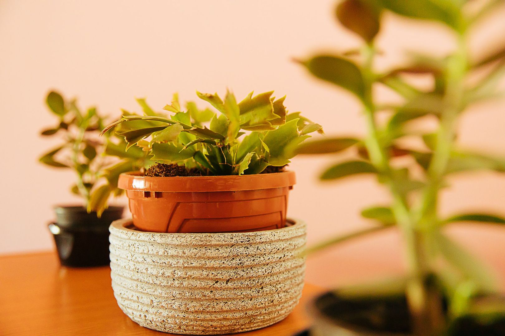 Exclusivitate - 2 camere, lângă Dealul Melcilor, aproape de Parcul Trandafirilor - Poză 9