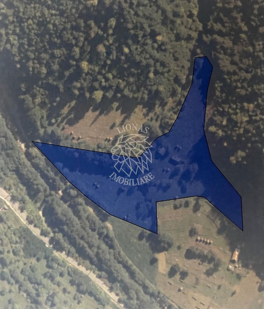 Teren 17898 mp + casa 58 mp-ideal fonduri europeane-Ilva Mica - Poză 1