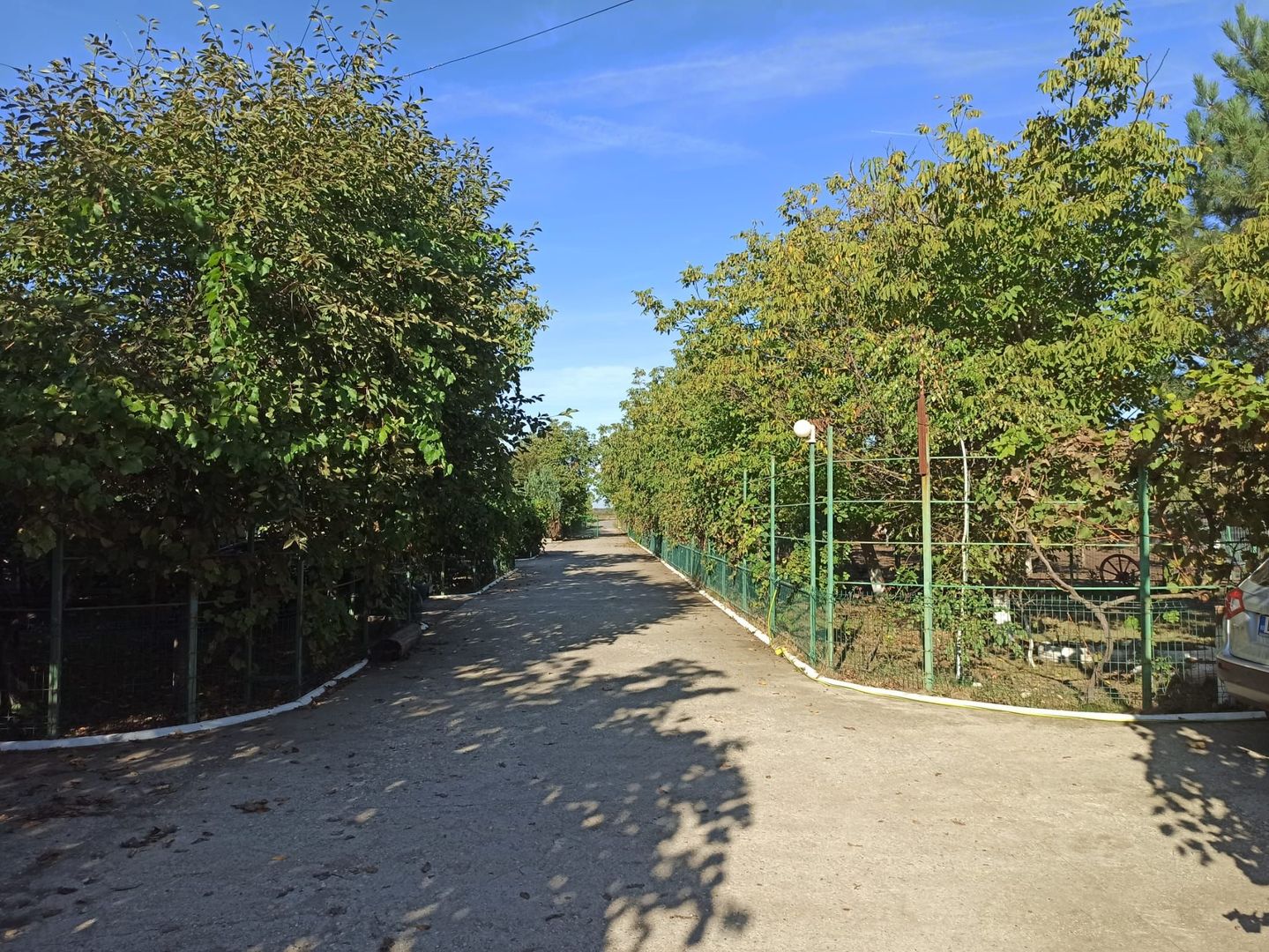 vila triplex,deosebita,mob-util partial/complet/Frumusani-Calarasi - Poză 20