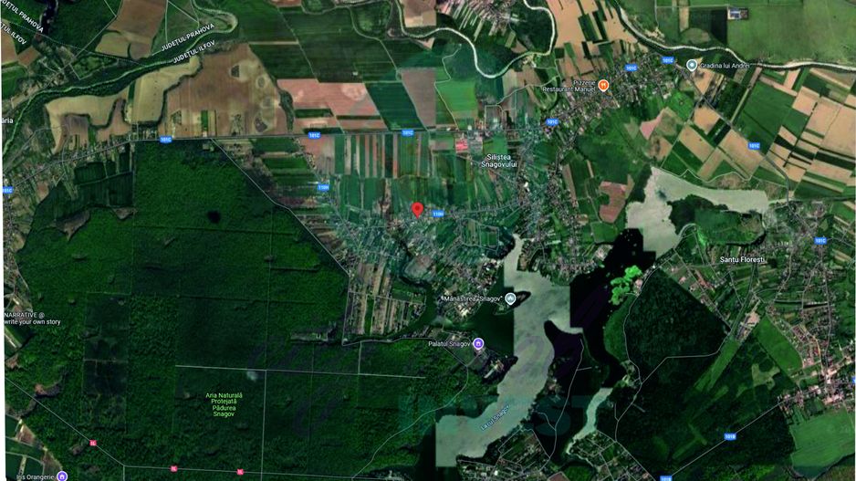 Teren 16534 mp pentru dezvoltare rezidențială, Siliștea Snagovului - Poză 4