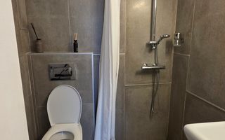 Spatiu Comercial-Apartamente Traian - Cladire integrala - Poză 15