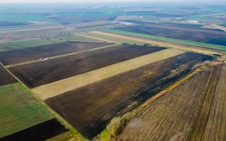 Teren Sânpaul lângă șosea - Poză 9