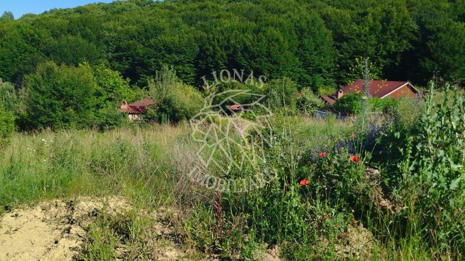 Teren 990 mp-ideal casa/casa de vacanta-panoramic-Zona Dealul Jelnei - Poză 3