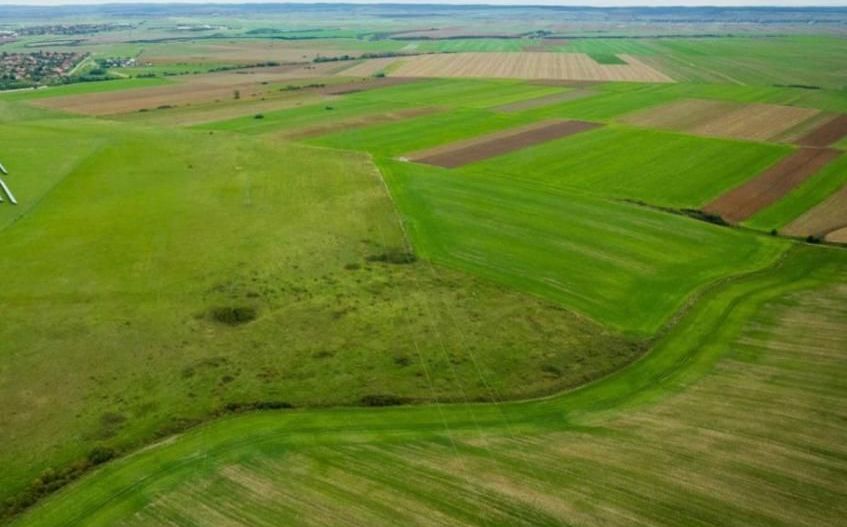 Teren agricol 5ha Giarmata langa Antena Radar - Poză 4