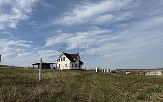 Teren intravilan 700 mp de vanzare in Paleu - Poză 4