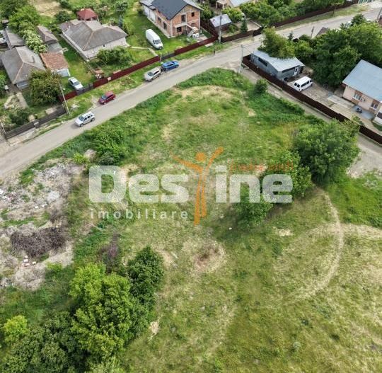 TEREN INTRAVILAN 4016 MP DANCU, COM. HOLBOCA, 2 FRONTURI STRADALE - Poză 5