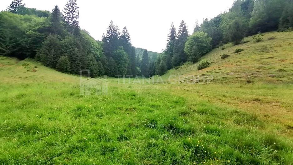 Teren intravilan langa Poiana Brașov, 52 mp front strdal, Utilitati in zona - Poză 8