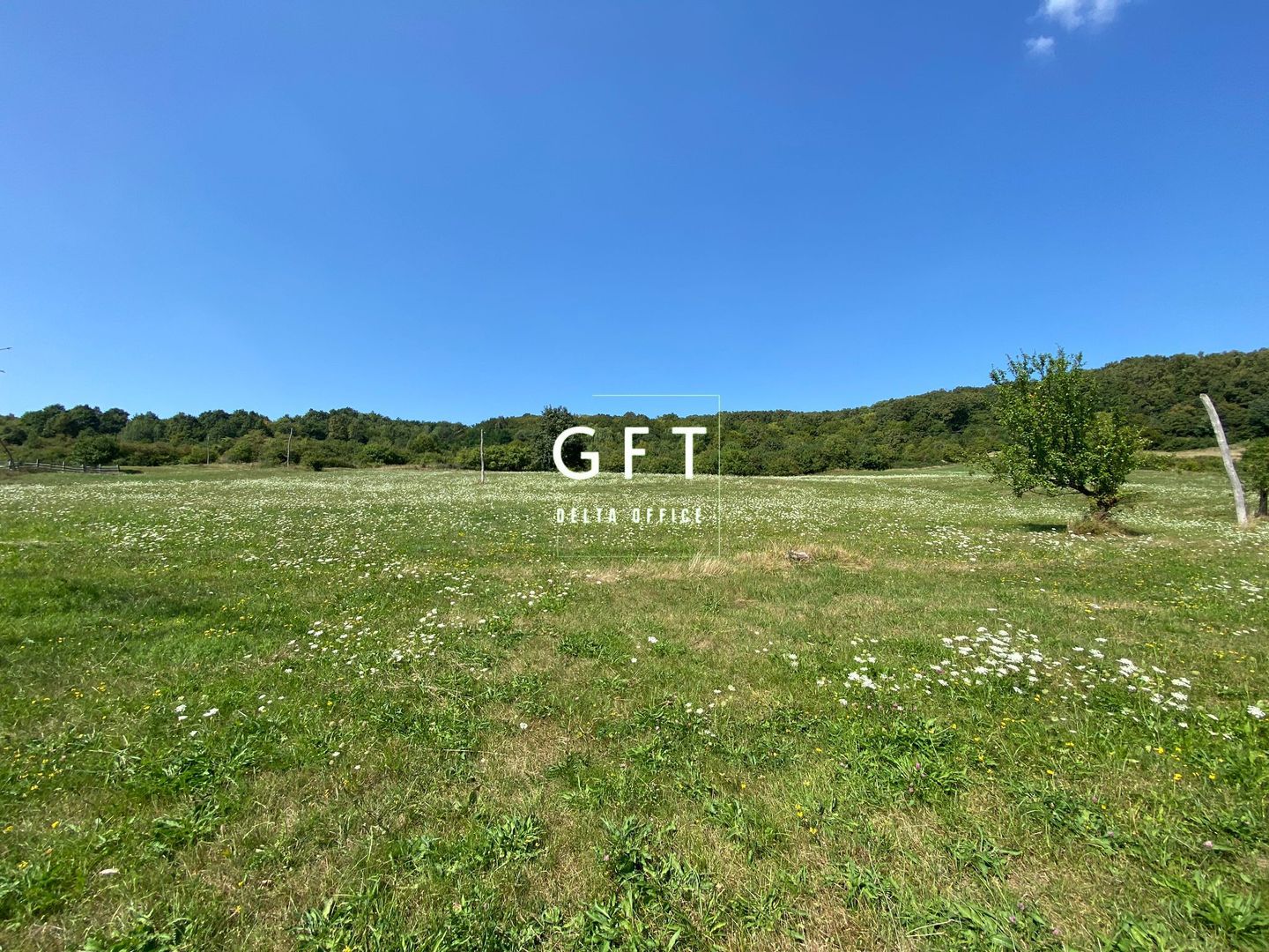 Teren Extravilan 11.000mp-Unirea-Valea Slatinitei - Poză 7