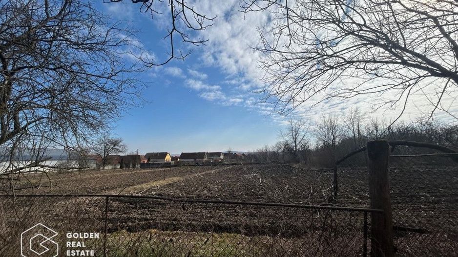 Casa traditionala cu teren generos in Odvos, județul Arad - Poză 20