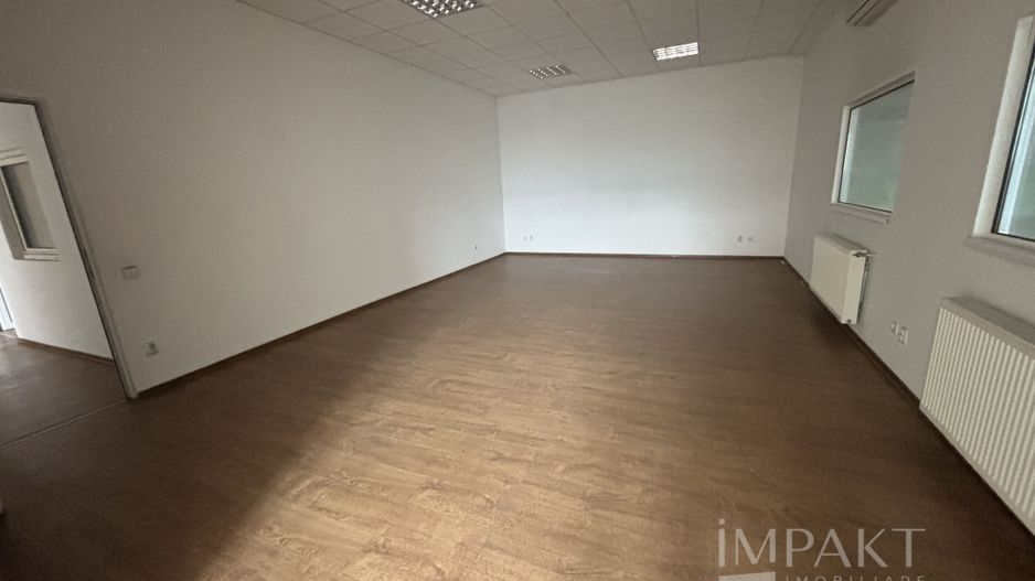 Închiriere spații industriale | Zona Corneliu Coposu - Poză 9