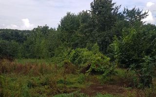 Teren de vânzare în Bucium, 1000mp, acces asfaltat - Poză 3