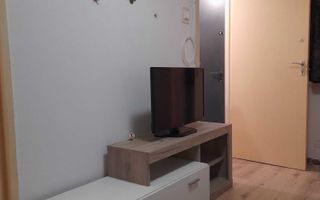 Garsoniera Crinul de Padure Parc Drumul Taberei - Poză 4