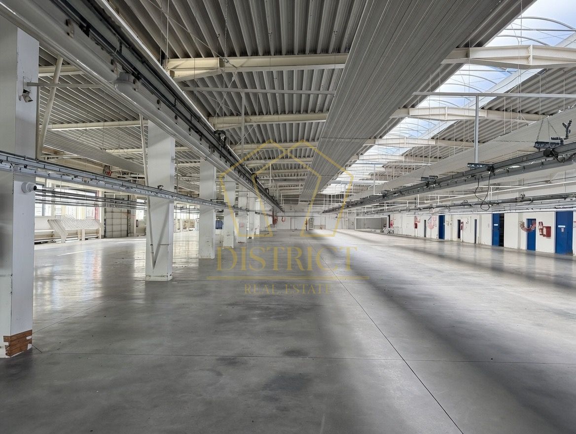 Hala industriala 4.300mp | Sagului | Timisoara | - Poză 10