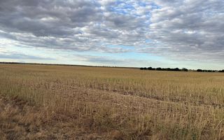 Teren intravilan Branesti - Poză 4