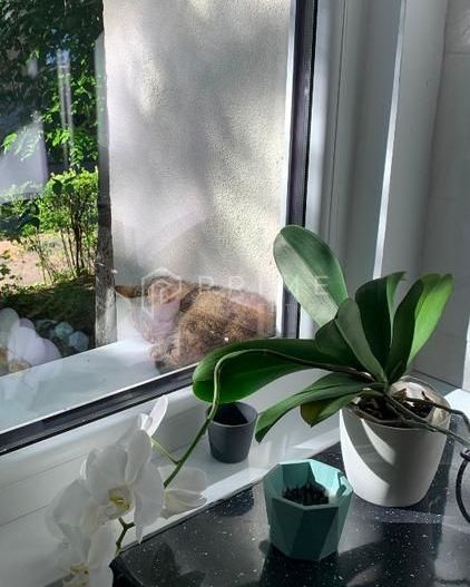 Apartament 2 camere de închiriat, Cornisa, str. Argeșului, Târgu Mureș - Poză 8