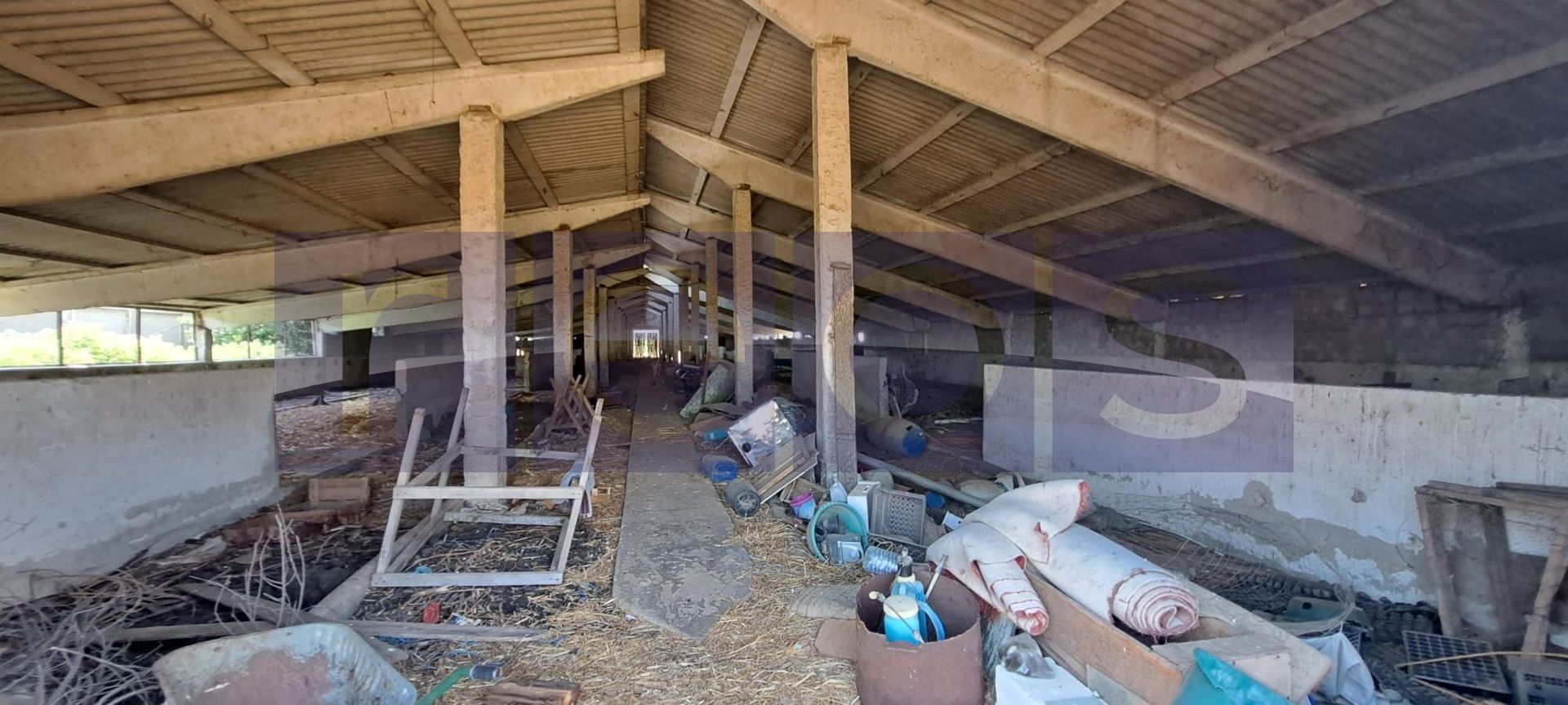 VANZARE TEREN 45.000 MP | IDEAL FERMA, HALA, PANOURI SOLARE | SACENI, TELEORMAN - Poză 3